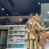 Miya aşıları yapıldı kısırlaştırıldı fotoğraf
