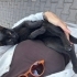 Kucak Delisi Minik Siyah Kedicik fotoğraf