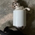 Çok Acil Yuva Aranıyor ! fotoğraf