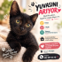 ÖMÜRLÜK YUVA ARIYORUZ fotoğraf