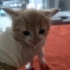 Henüz 1 aylık minik kızımız fotoğraf