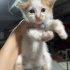 Henüz 1 aylık minik kızımız fotoğraf