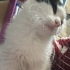Sakin Uykucu Ve Oyuncu bir bebek fotoğraf