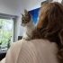 Şakir iç dış parazitleri yapıldı karma aşısı yapıldı anne sütü emdi fotoğraf