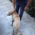 Latte bağlılığı seven tam bir oyun sever fotoğraf