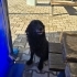 Gülen köpek Kara kuzu yuvasını arıyor! İzmir - Ücretsiz! fotoğraf