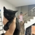 ZEYTİN ANNESİNI BEKLIYOR fotoğraf