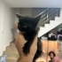 ZEYTİN ANNESİNI BEKLIYOR fotoğraf