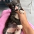 Sokağa atılmış 3 güzel bebek fotoğraf