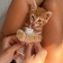Sevimli oğlumuza ömürlük yuva fotoğraf