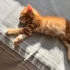 Sevimli oğlumuza ömürlük yuva fotoğraf