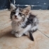 Sevimli oğlumuza ömürlük yuva fotoğraf