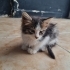 Sevimli oğlumuza ömürlük yuva fotoğraf
