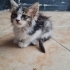 Sevimli oğlumuza ömürlük yuva fotoğraf