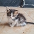 Sevimli oğlumuza ömürlük yuva fotoğraf