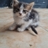Sevimli oğlumuza ömürlük yuva fotoğraf