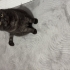 Bebeğimin alerjisi var fotoğraf