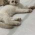 Güzel kızımıza yuva fotoğraf