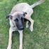 Duman Bebeğe Acil Yuva fotoğraf