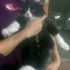 Sanslinin hikayesi bir yuva ile güzel bitsin fotoğraf