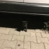 Gecelerin içinden bir kedi: “Gece” fotoğraf