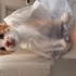 Baldan tatlı güzel kızımıza yuva arıyoruz fotoğraf