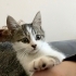 OYUNCAK GİBİ BİR BEBİŞ fotoğraf