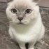 Sylvie Yuva arıyor fotoğraf