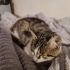 BOLCA SEVGİYE IHTIYACI VAR, SOKAĞA DÖNMESİN fotoğraf
