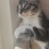 ÇOK USLU VE  ÇOK MASUM fotoğraf