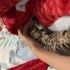Oyuncu ve sağlıklı bebişe yuva arıyoruz fotoğraf