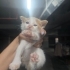 Minik Çilli Sevgi Dolu Ailesini Arıyor fotoğraf