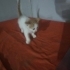 Minik Çilli Sevgi Dolu Ailesini Arıyor fotoğraf