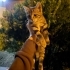 Bu güzelliğe güzel bir yuva fotoğraf