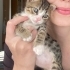 Kırçıl daha 7 haftalık, ömürlük yuvasını arıyoruz 🐱 fotoğraf