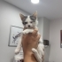 GÖRME ENGELLİ YAVRUYA YUVA ARIYORUZ fotoğraf