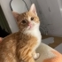 Yakışıklı ve kimsesiz Bebi fotoğraf