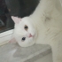 Benımle oynamak istermısın fotoğraf