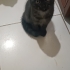 Aşırı cana yakın fotoğraf