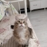 Tam bir kucak bebesi yumoş fotoğraf