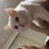 Güzel kızımıza yuva olmak ister misiniz fotoğraf