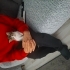Bu küçük bebeğe çok acil yuva arıyoruz fotoğraf