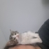 Bu küçük bebeğe çok acil yuva arıyoruz fotoğraf