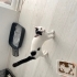 ACİL YUVA ARANIYOR fotoğraf