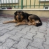 ONUN DA SICAK Bİ YUVASI OLSUN fotoğraf