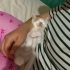 Hikayesi Yol Ortasında Başlayan Minik Niyazi Yuvasını Arıyor! 🐾 fotoğraf