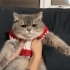 Tosbik 2yaşında fotoğraf