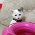 MİNNOŞ KIZIMIZA YUVA fotoğraf