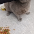 Sokaga Terkedilmis Masum Kiz fotoğraf