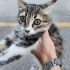 Termal otele atılmış fotoğraf